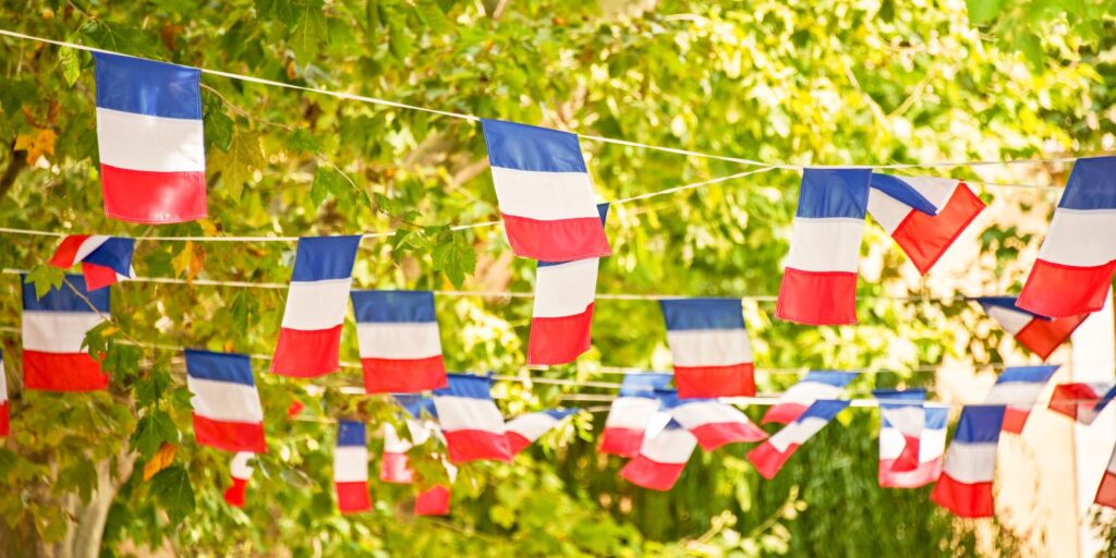 French flags strung between trees