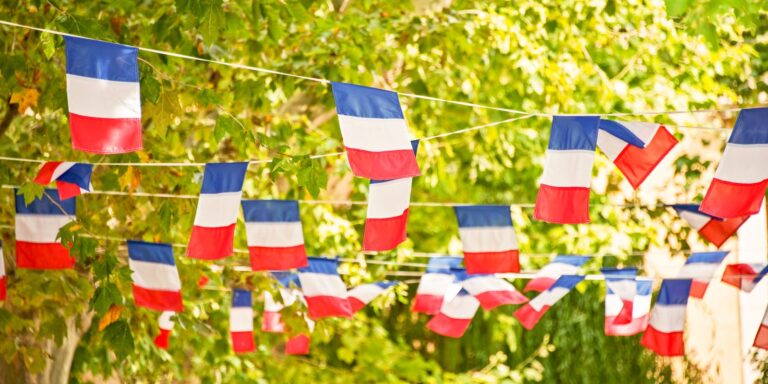 French flags strung between trees